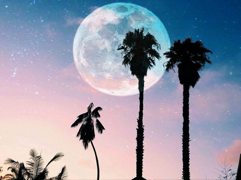 September's New Moon Meditation