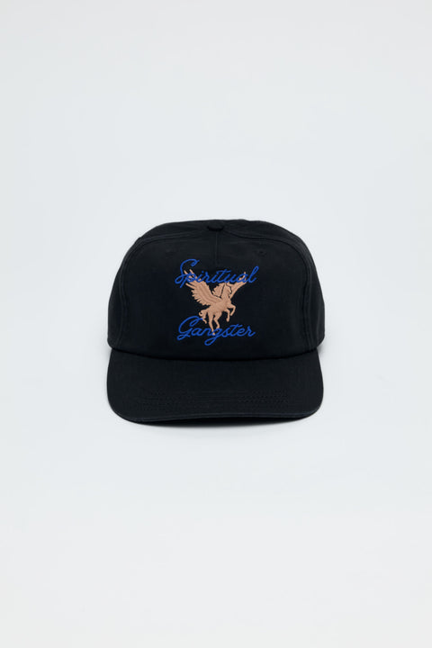Pegasus Dad Hat