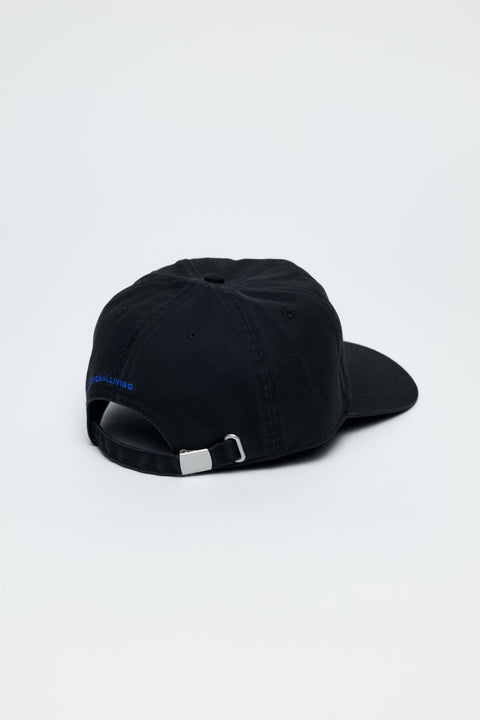 Pegasus Dad Hat