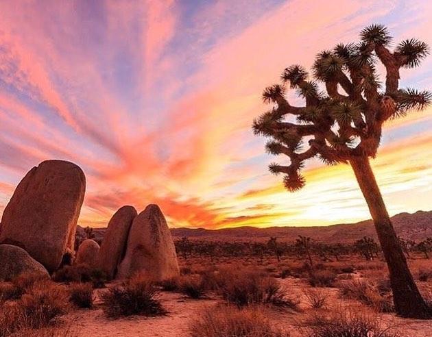 November 2017 Horoscopes
