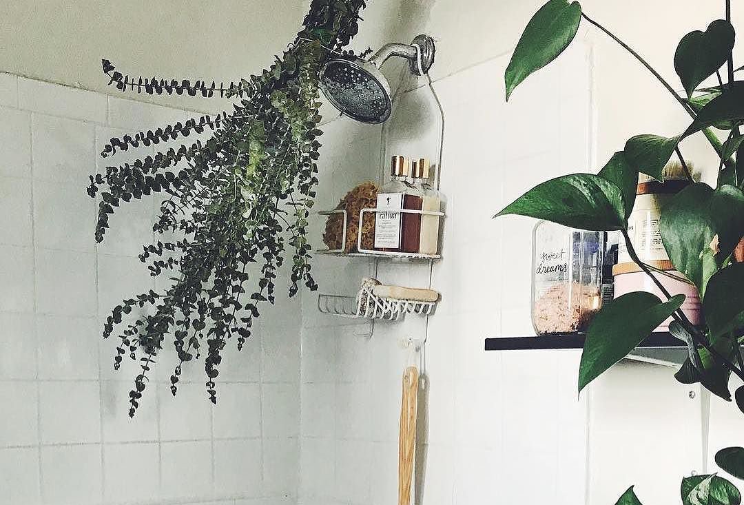 Demystifying Essential Oils with @SajeWellness – Spiritual Gangster