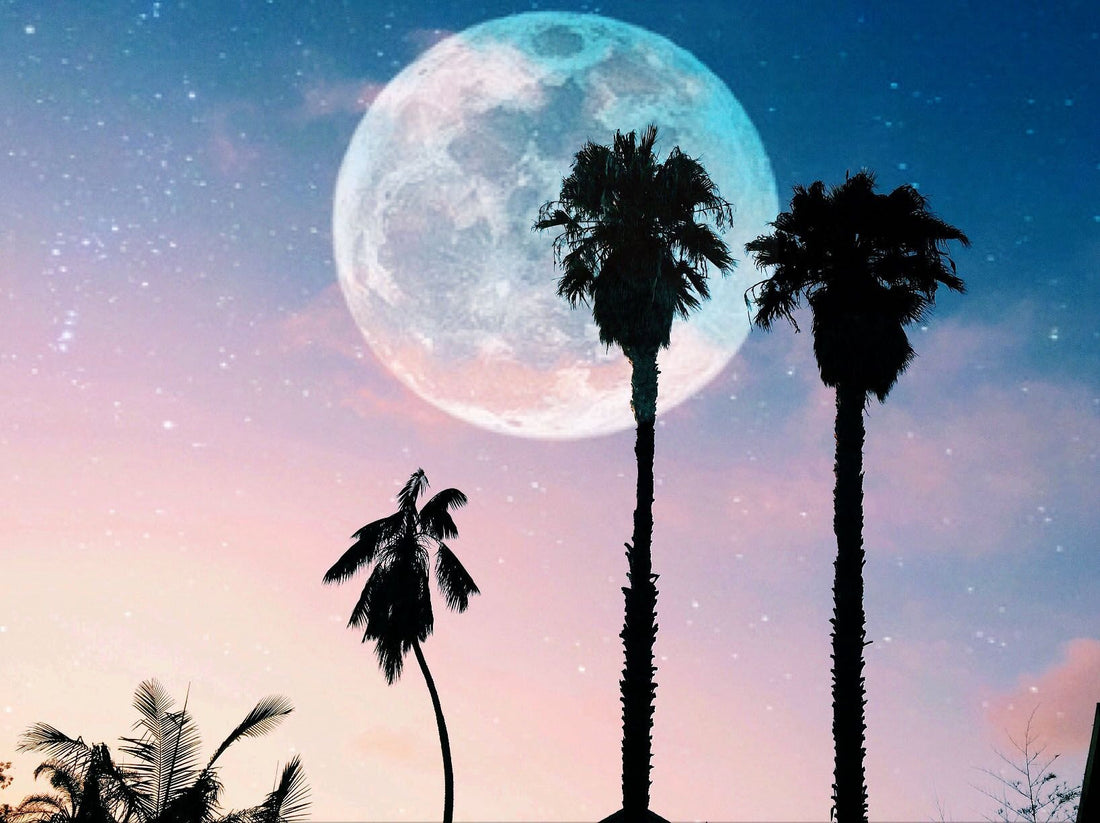 September's New Moon Meditation
