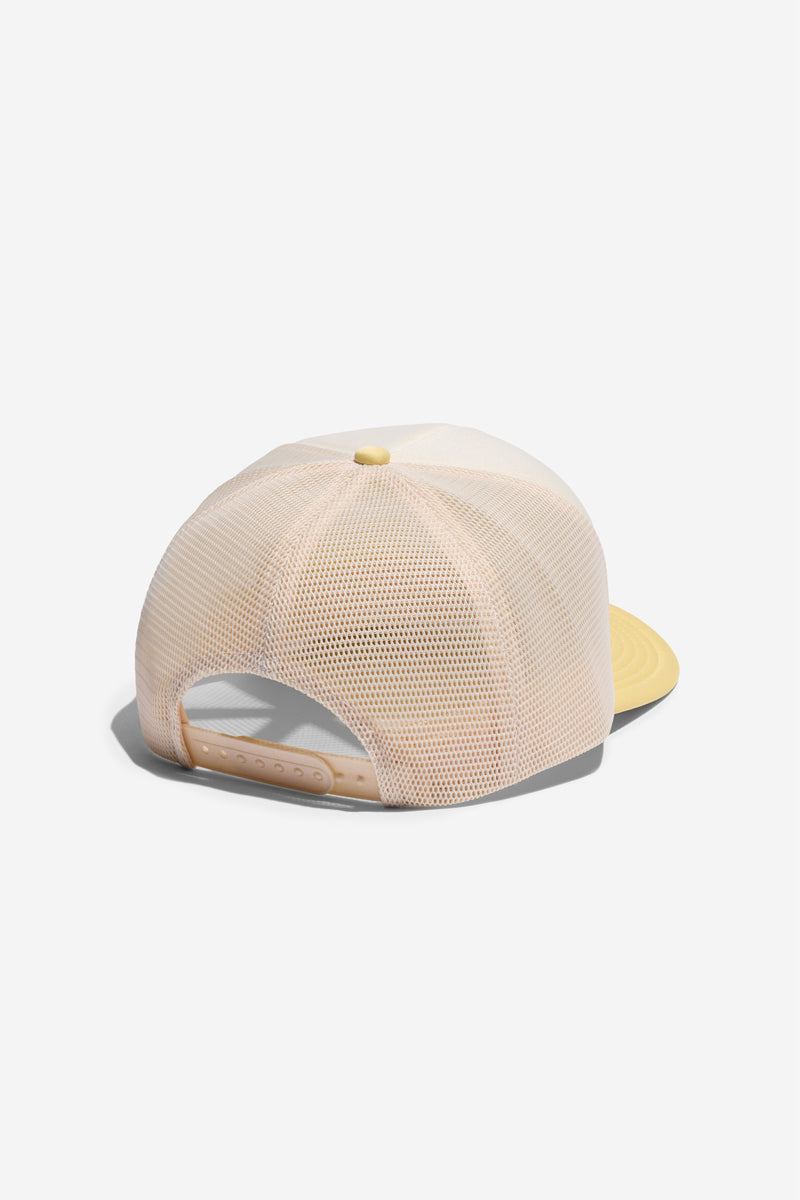 Earth Energy Trucker Hat