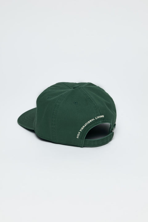 Just Sage Dad Hat