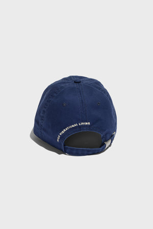 Raised By Waves Dad Cap