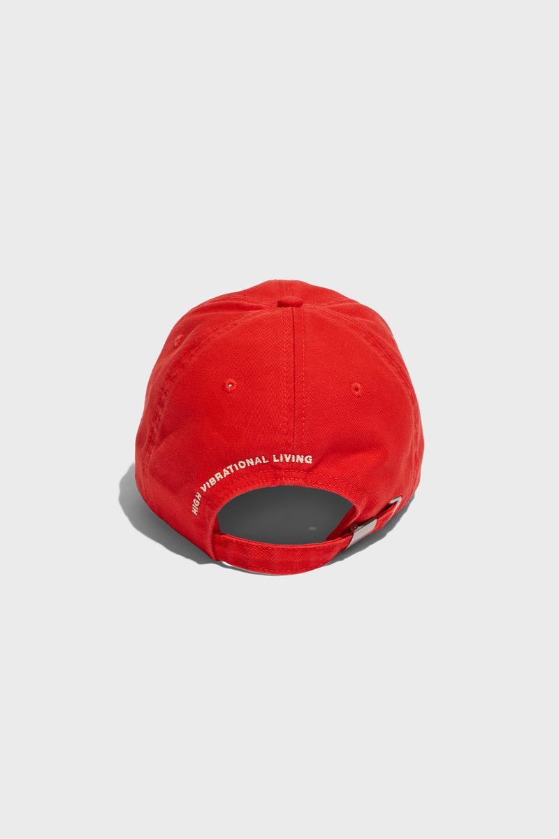 Sg Logo Dad Cap