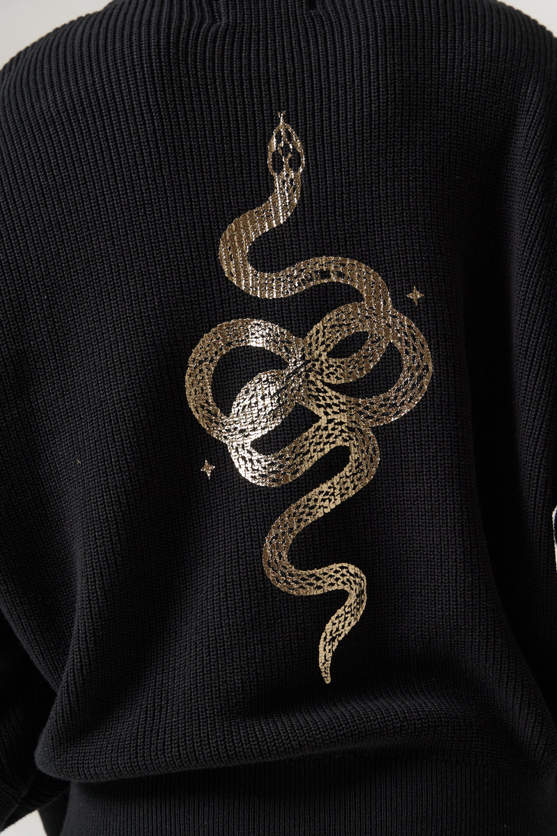 Astral Snake Lyric Sweater