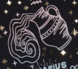 aquarius