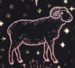 aries