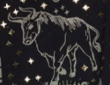 taurus