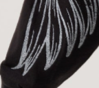 angel-wings