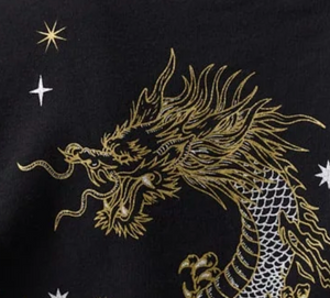 dragon-warrior